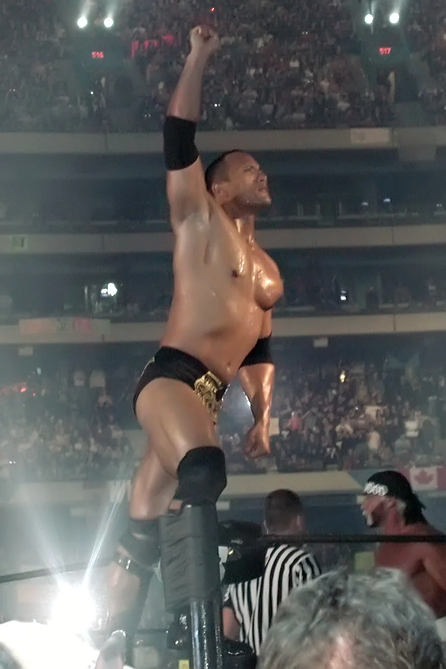 The Rock poses on a turnbuckle while Hulk Hogan waits in the ring at WrestleMania X8